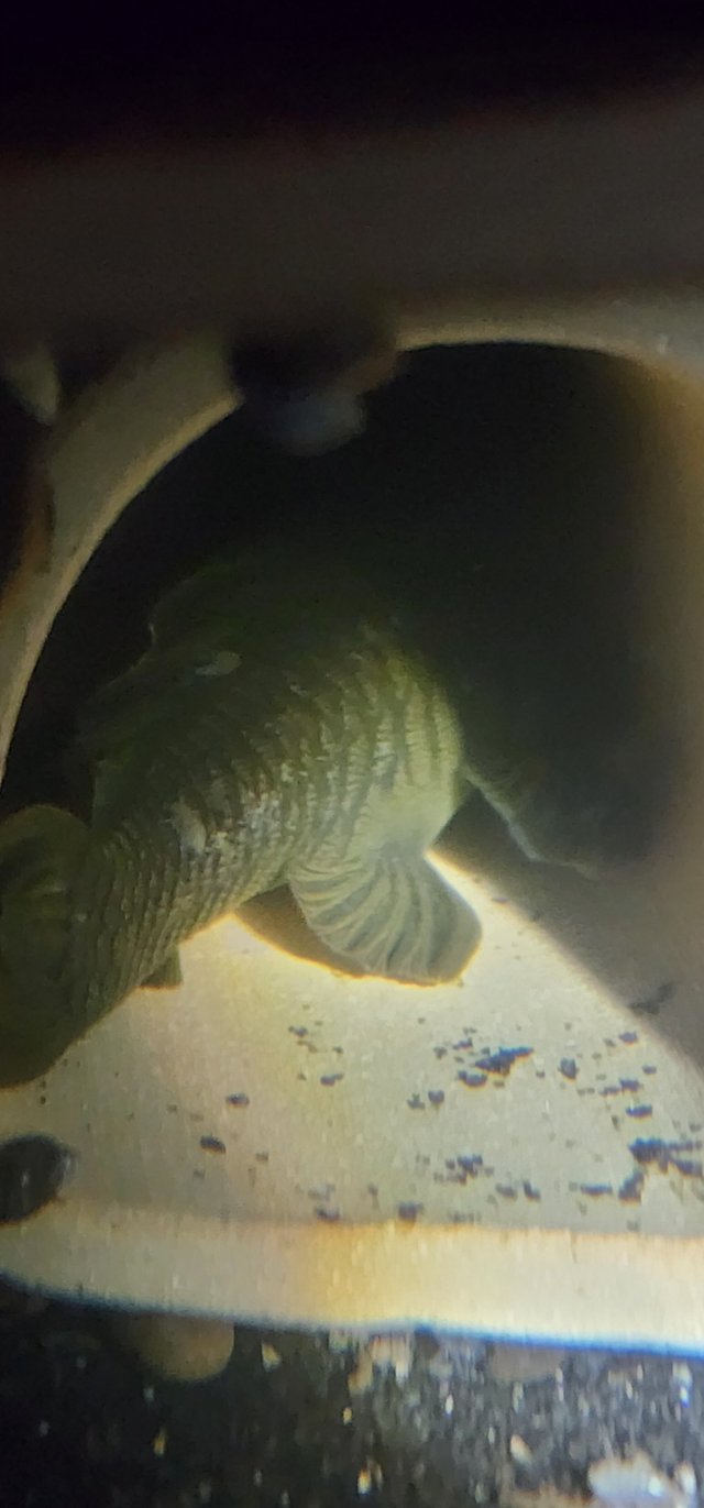 1000056704.jpg 1000056704.jpg