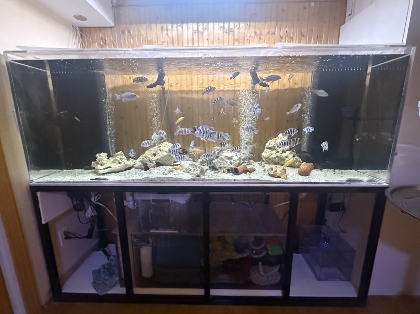 360gtank.jpg 360gtank.jpg