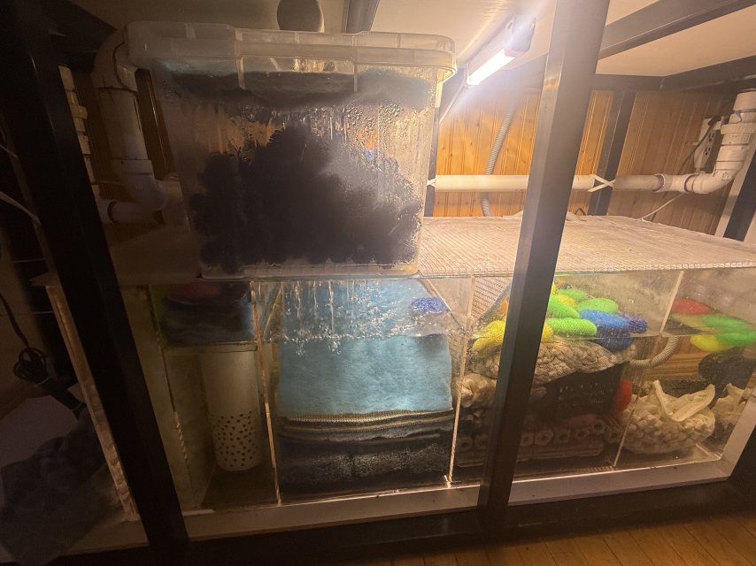 360gtank2.jpg 360gtank2.jpg