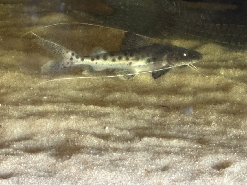 IMG_8418.jpeg IMG_8418.jpeg