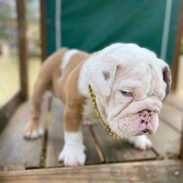 photo_2022-10-14_19-17-45 (2).jpg