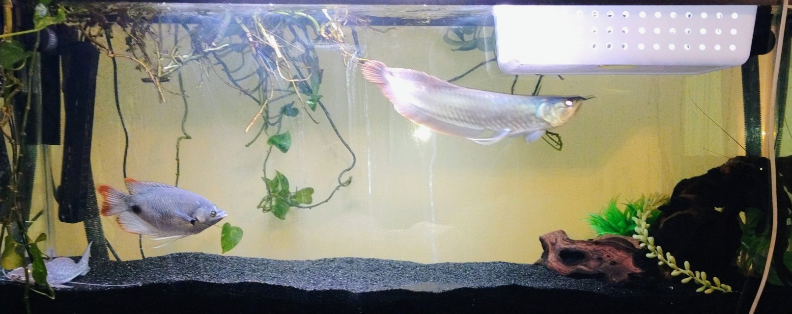 1000000744.jpg 1000000744.jpg