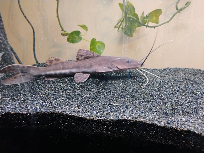 1000000742.jpg 1000000742.jpg