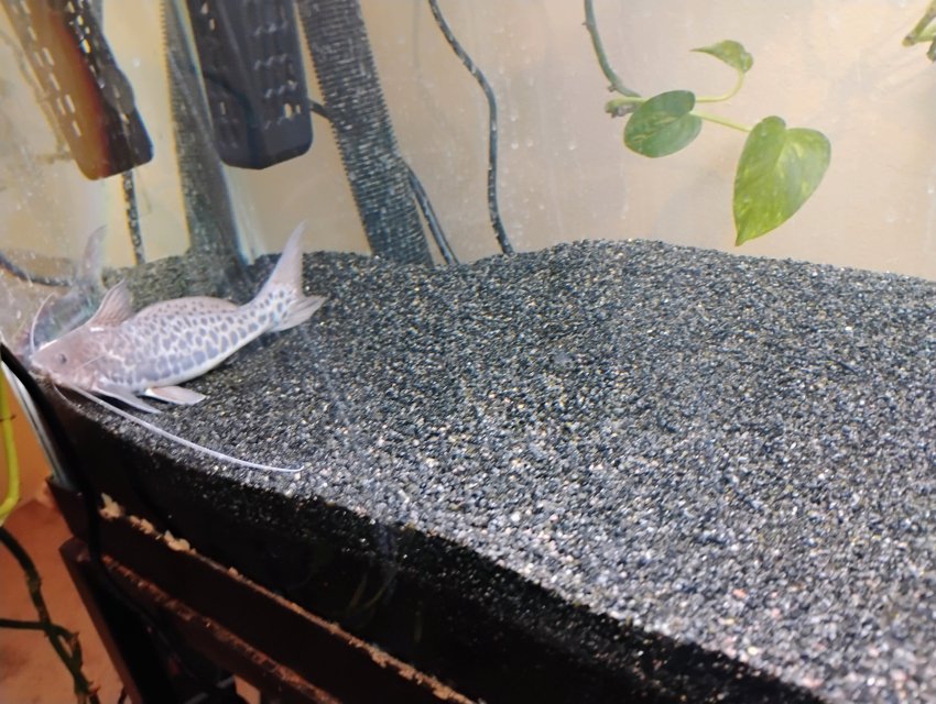 1000000740.jpg 1000000740.jpg