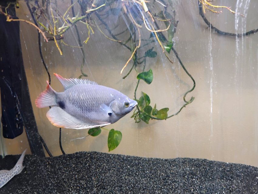 1000000739.jpg 1000000739.jpg