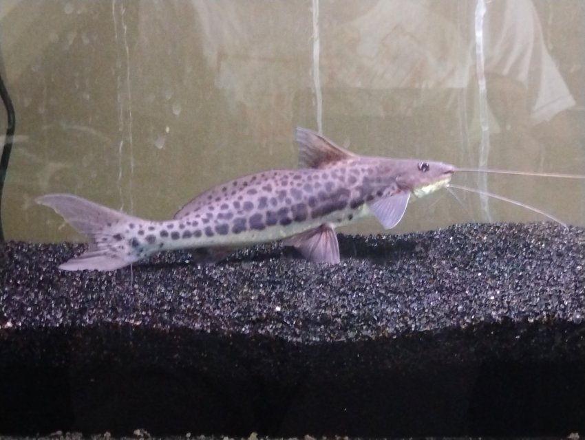 1000000598.jpg 1000000598.jpg