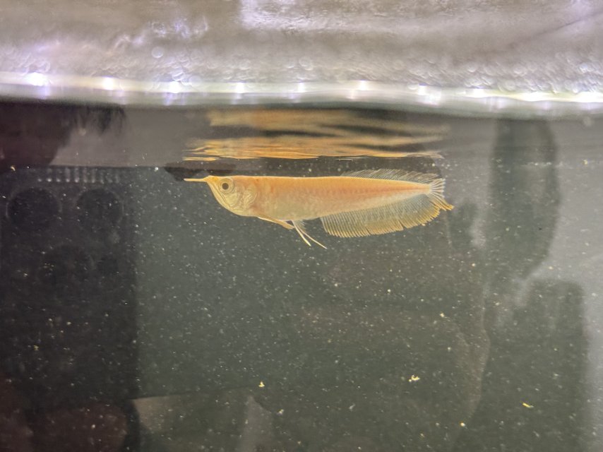 IMG_8404.jpeg IMG_8404.jpeg