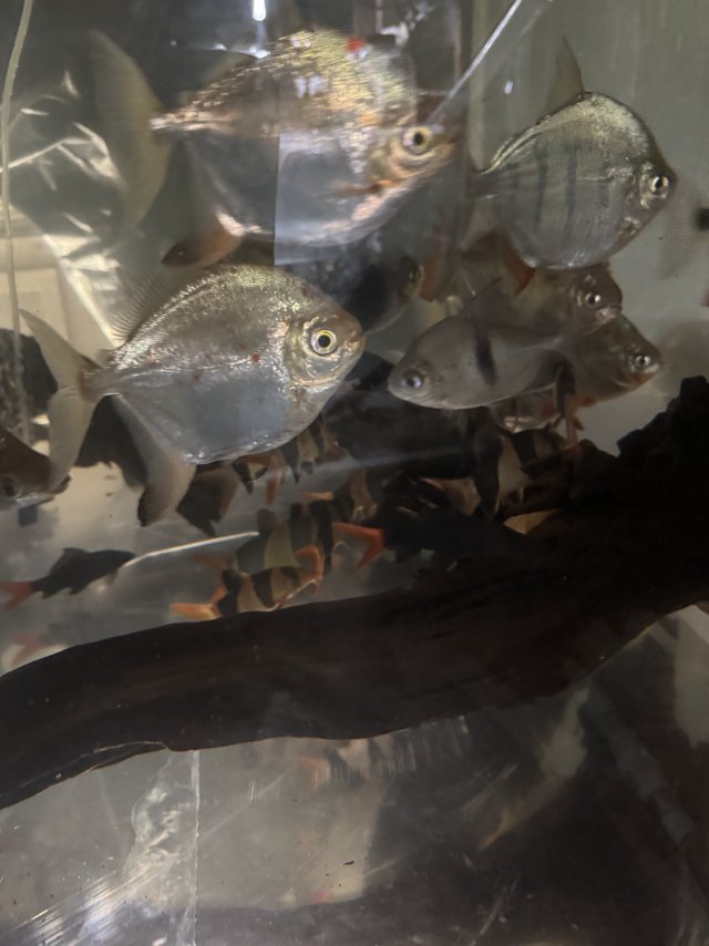 IMG_2303.jpeg IMG_2303.jpeg