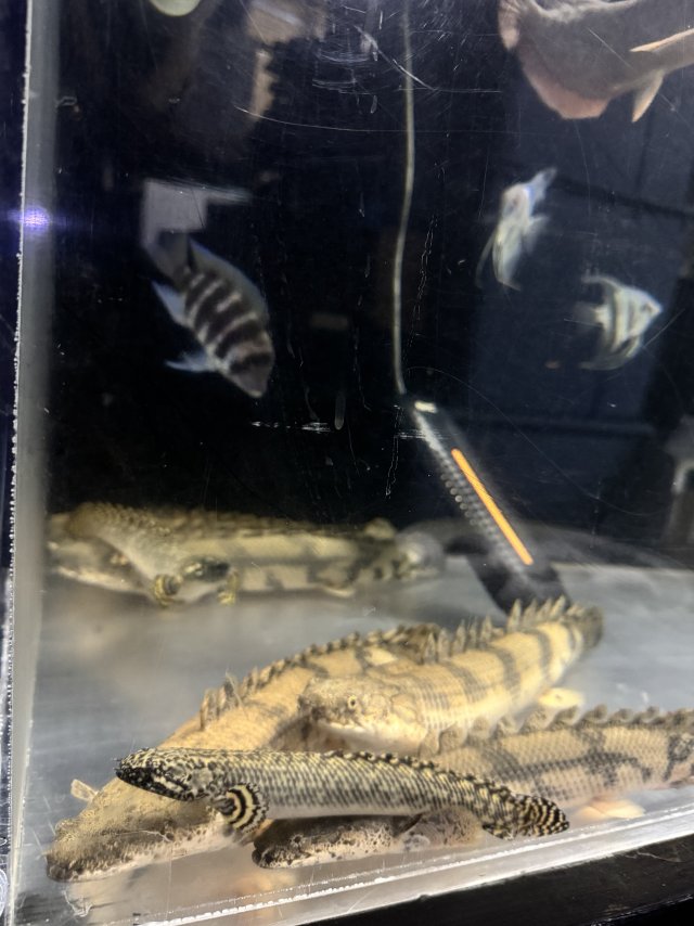 IMG_1187.jpeg IMG_1187.jpeg