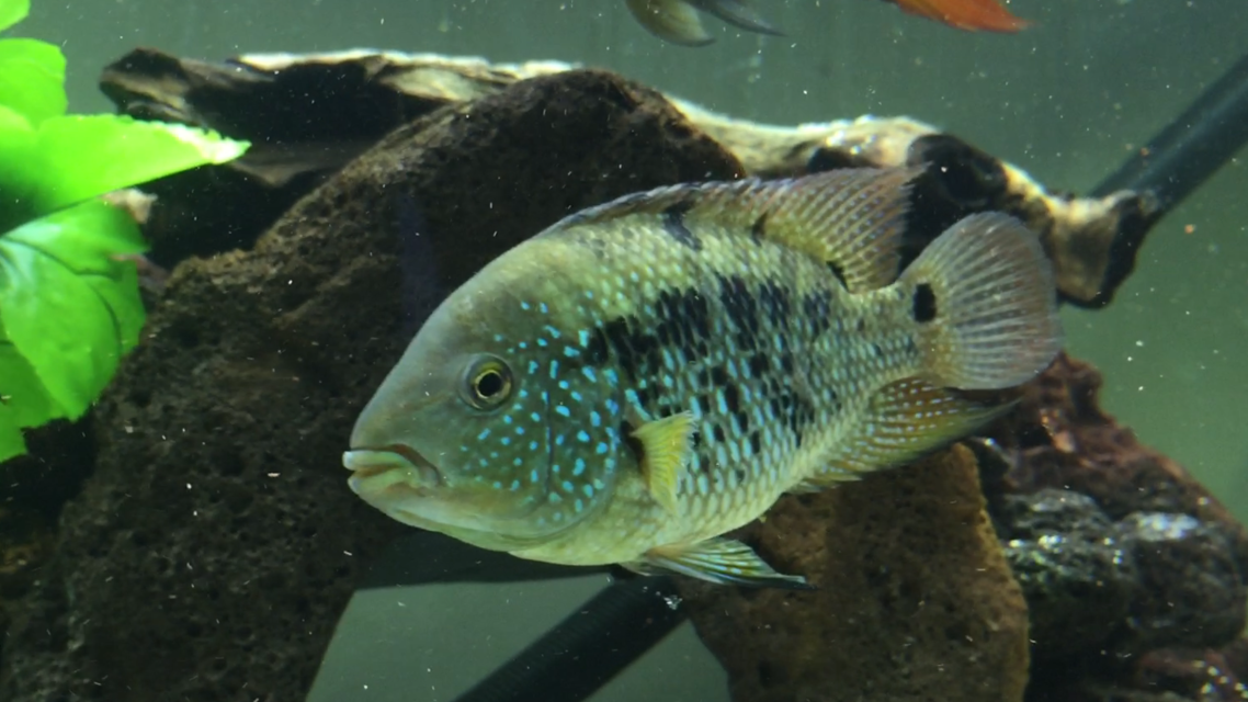 IMG_9903.png IMG_9903.png