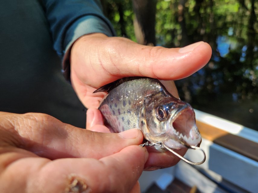 1765403609792.jpeg 1765403609792.jpeg