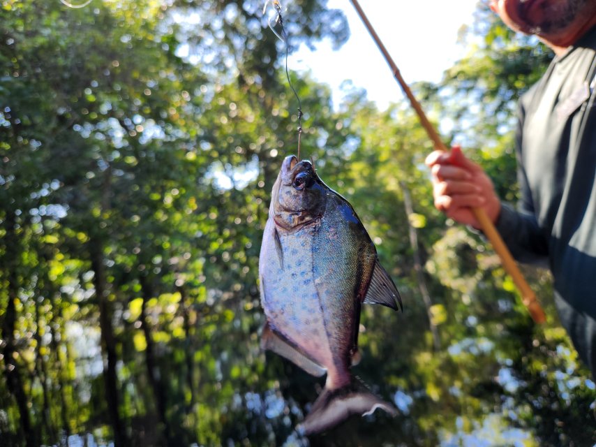 1765403644450.jpeg 1765403644450.jpeg