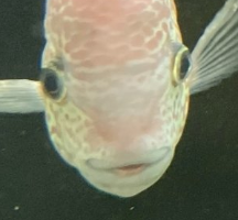 Screenshot 2025-12-11 221001.png