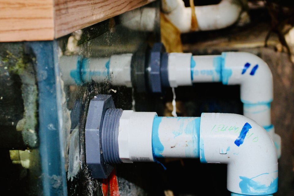 IMG_3593.jpeg IMG_3593.jpeg