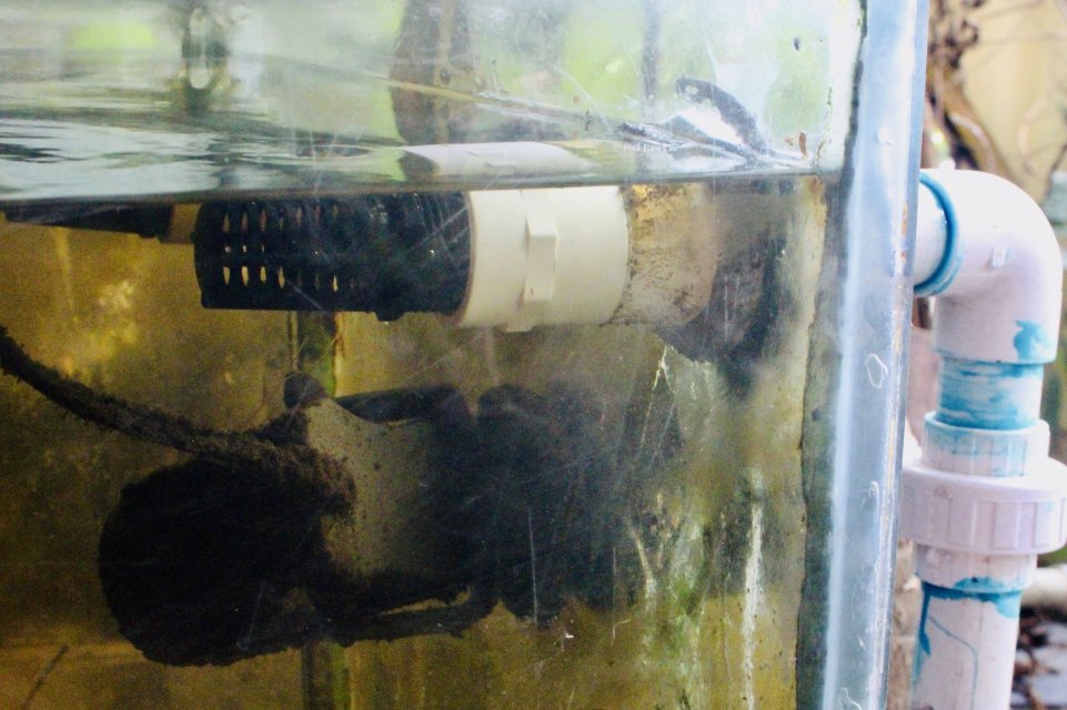 IMG_0279.jpeg IMG_0279.jpeg