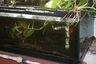 1765559038582.png 1765559038582.png