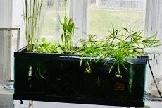 Image 1.jpeg Image 1.jpeg