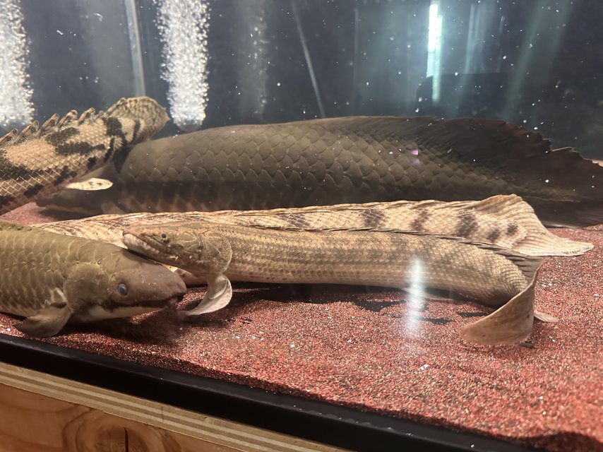 IMG_9051.jpeg IMG_9051.jpeg