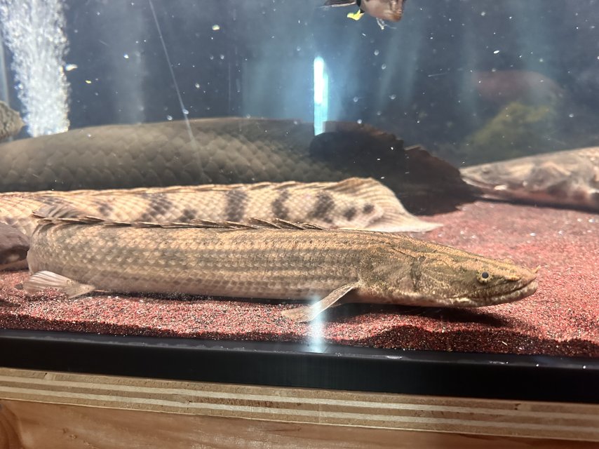 IMG_9052.jpeg IMG_9052.jpeg