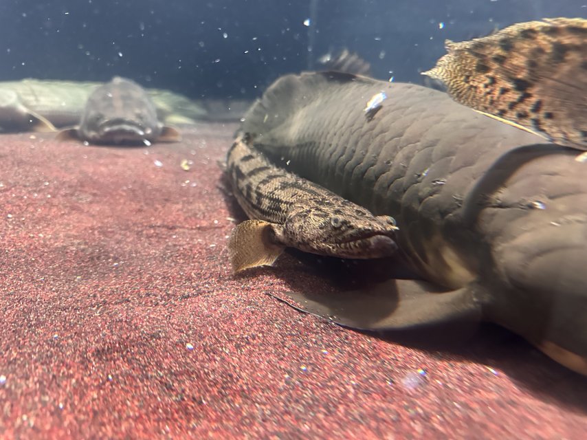 IMG_9053.jpeg IMG_9053.jpeg