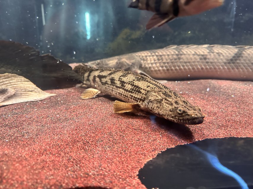 IMG_9055.jpeg IMG_9055.jpeg