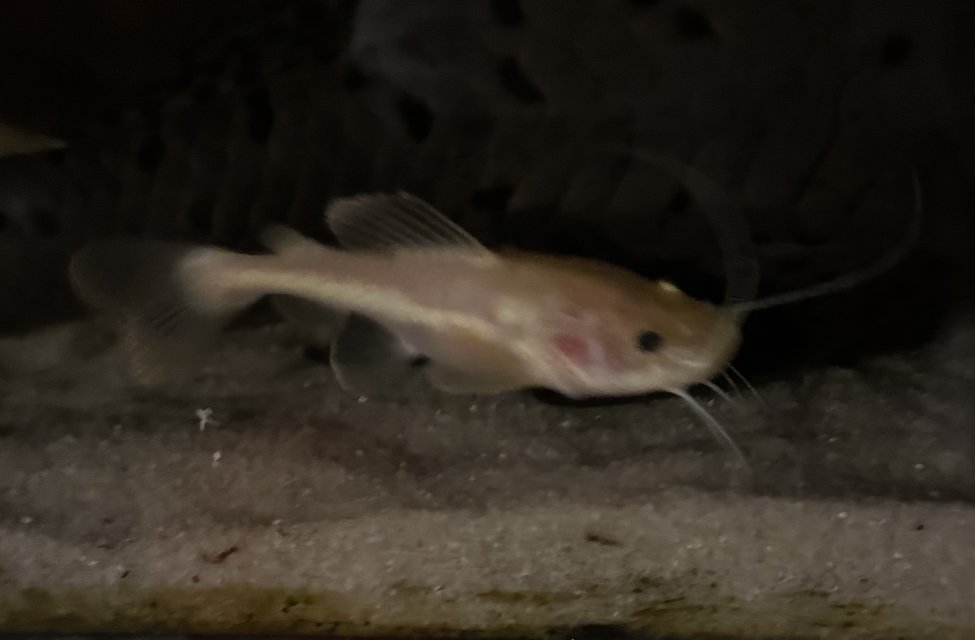 IMG_8637.jpeg IMG_8637.jpeg