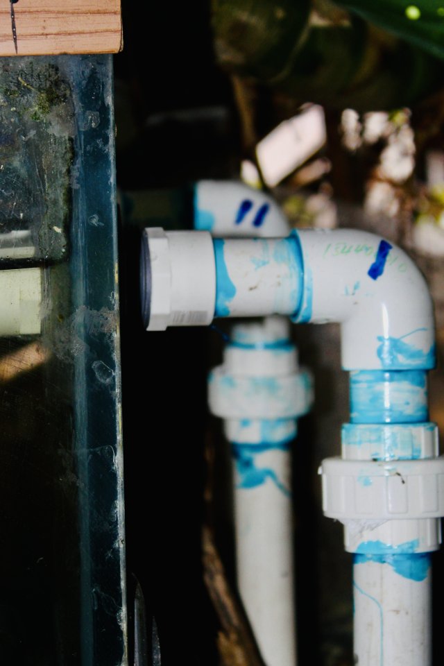 IMG_3628.jpeg IMG_3628.jpeg