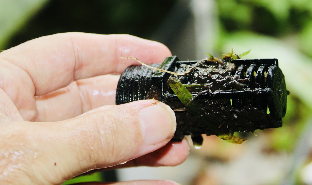 IMG_2046.jpeg IMG_2046.jpeg