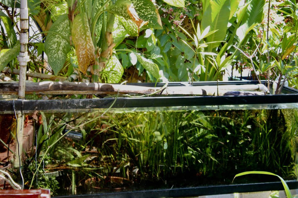 IMG_6835.jpeg IMG_6835.jpeg