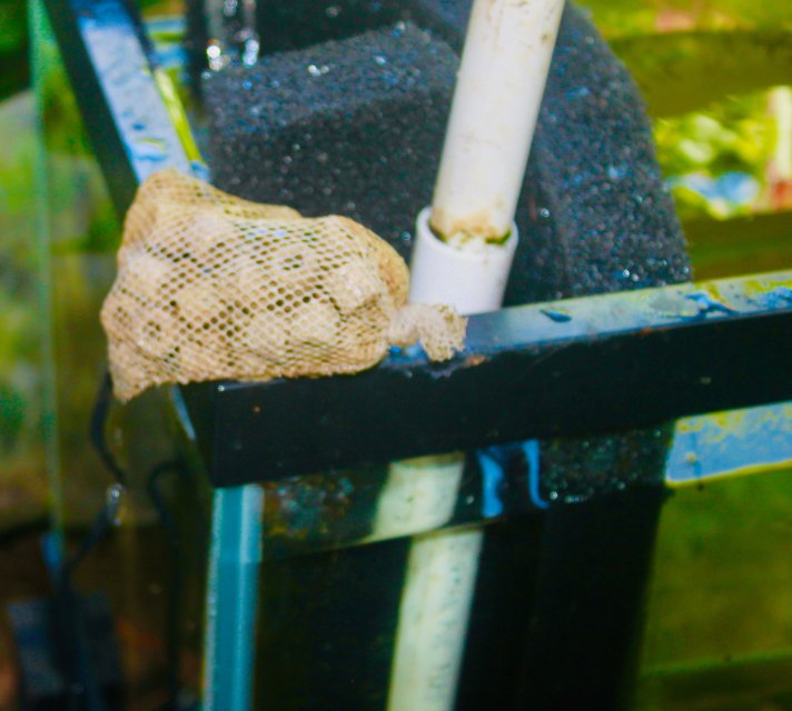 IMG_8811.jpeg IMG_8811.jpeg