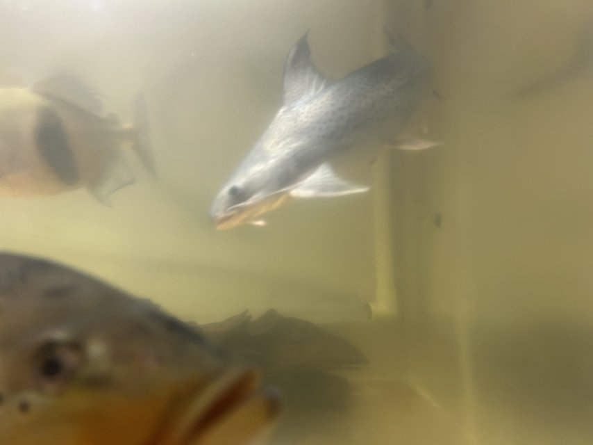 IMG_1547.jpeg IMG_1547.jpeg