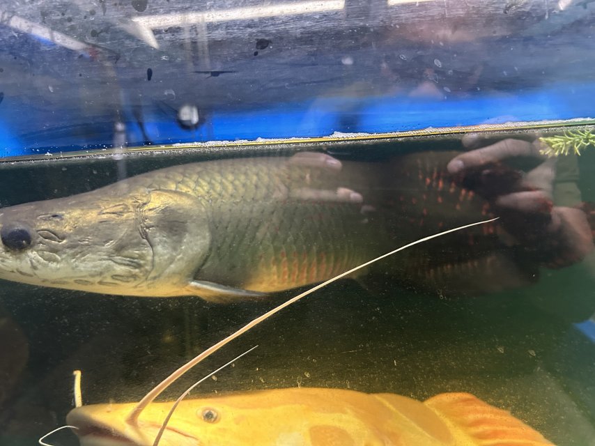 IMG_1550.jpeg IMG_1550.jpeg