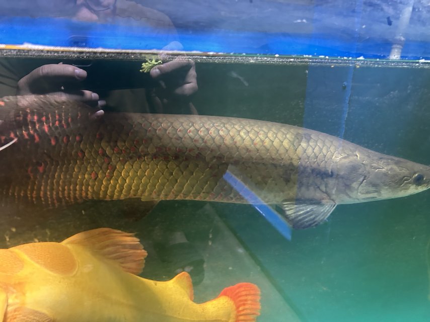 IMG_1551.jpeg IMG_1551.jpeg