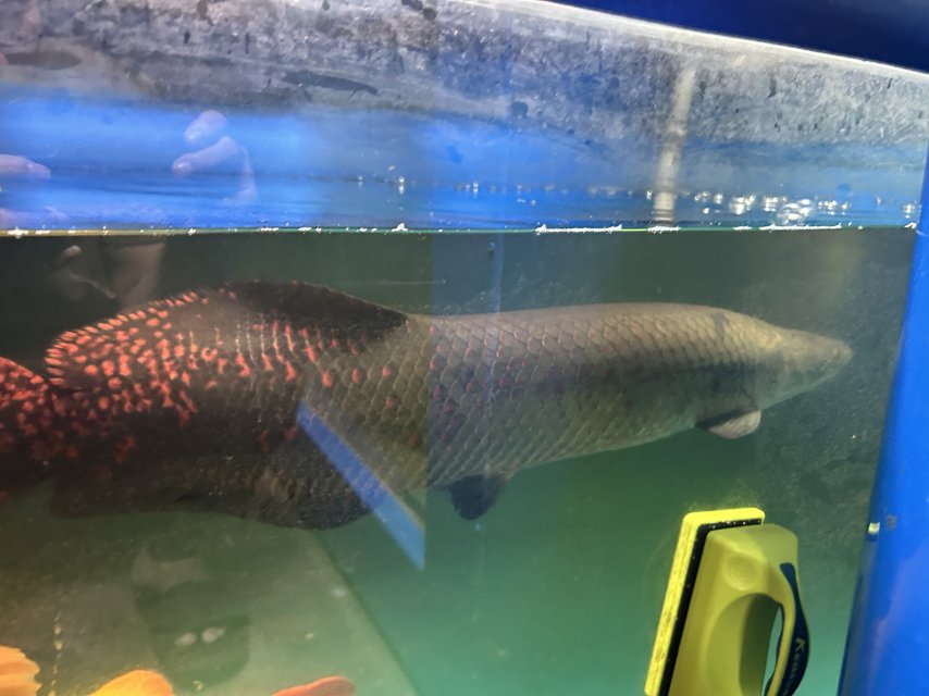 IMG_1552.jpeg IMG_1552.jpeg