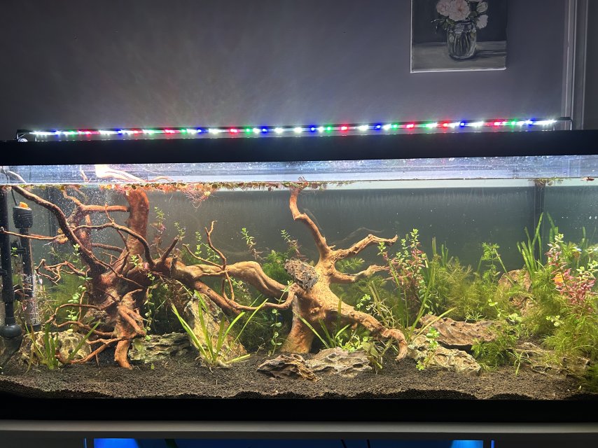 IMG_5375.jpeg IMG_5375.jpeg