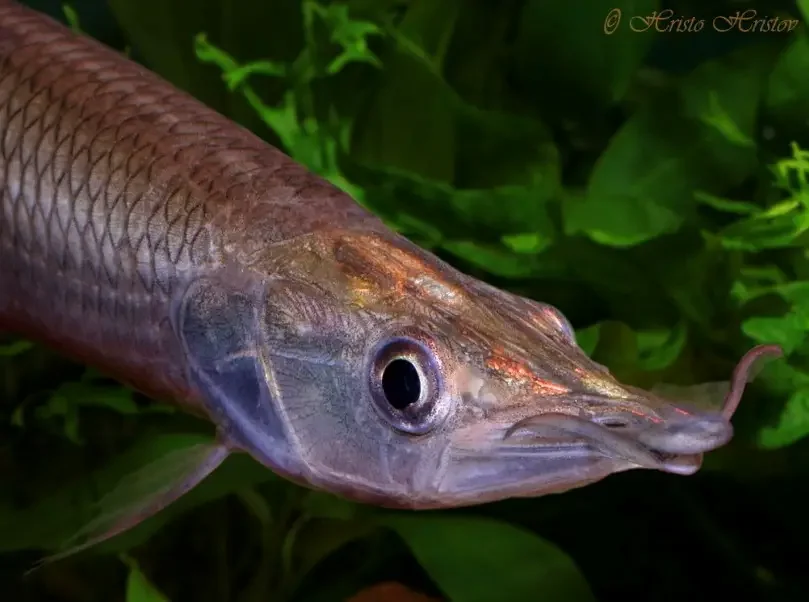 IMG_6004.webp IMG_6004.webp