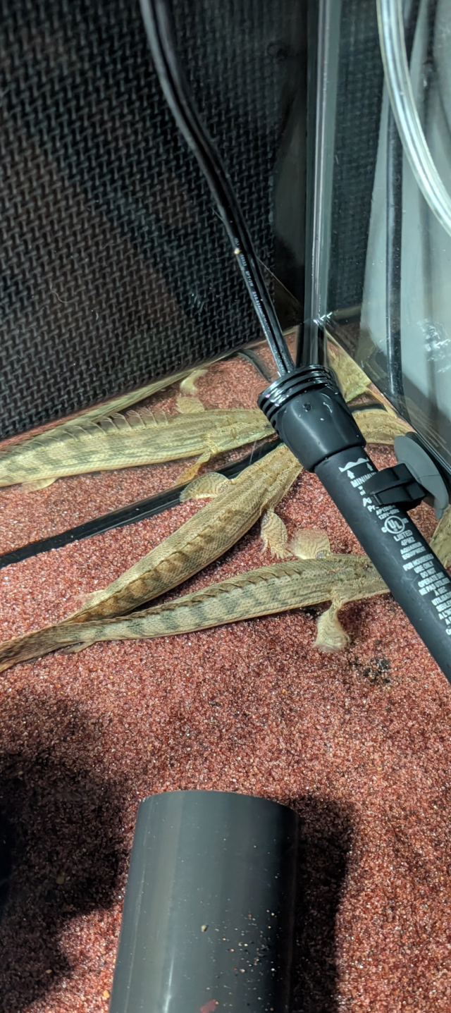 1000009234.png 1000009234.png