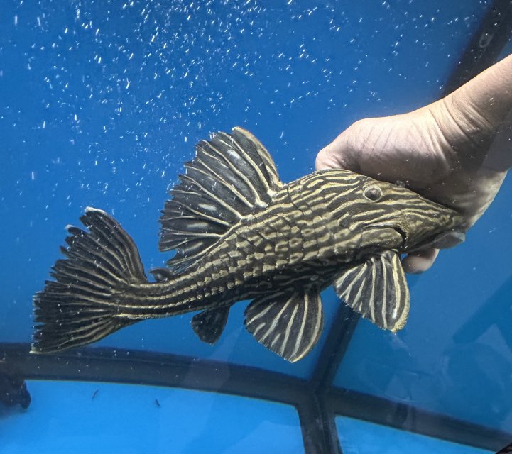 IMG_0057.jpeg IMG_0057.jpeg