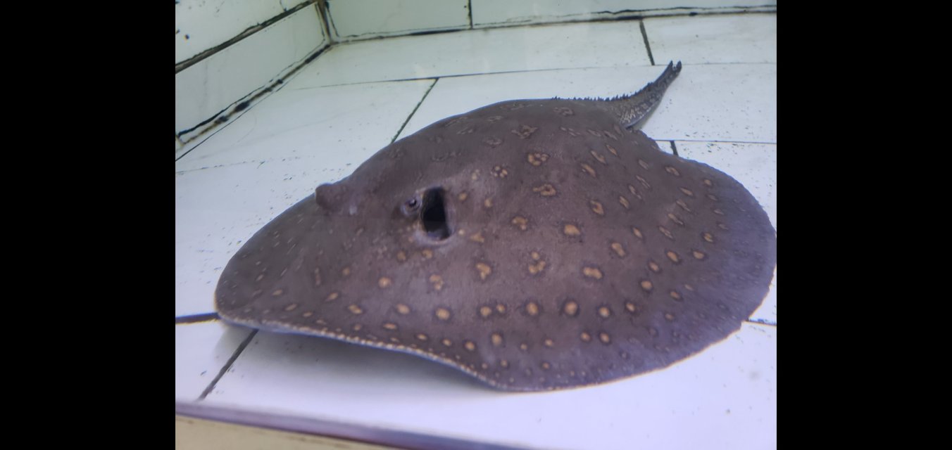 Screenshot_20251213-134653_Gallery.jpg Screenshot_20251213-134653_Gallery.jpg