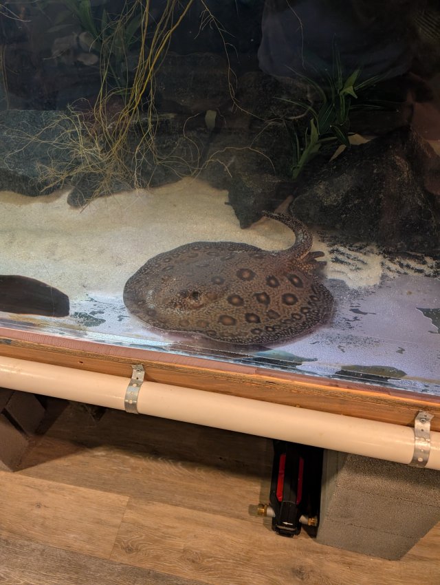 1000012093.jpg 1000012093.jpg