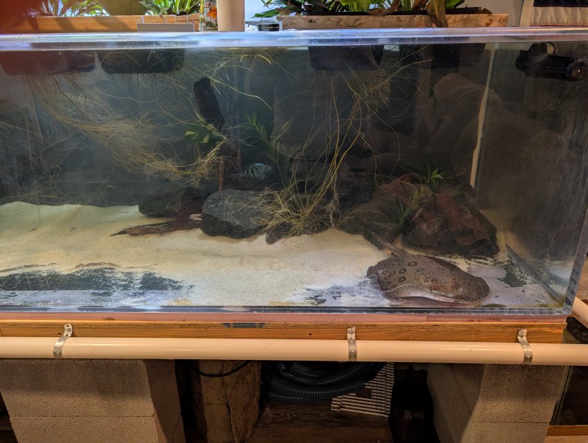 1000012090.jpg 1000012090.jpg