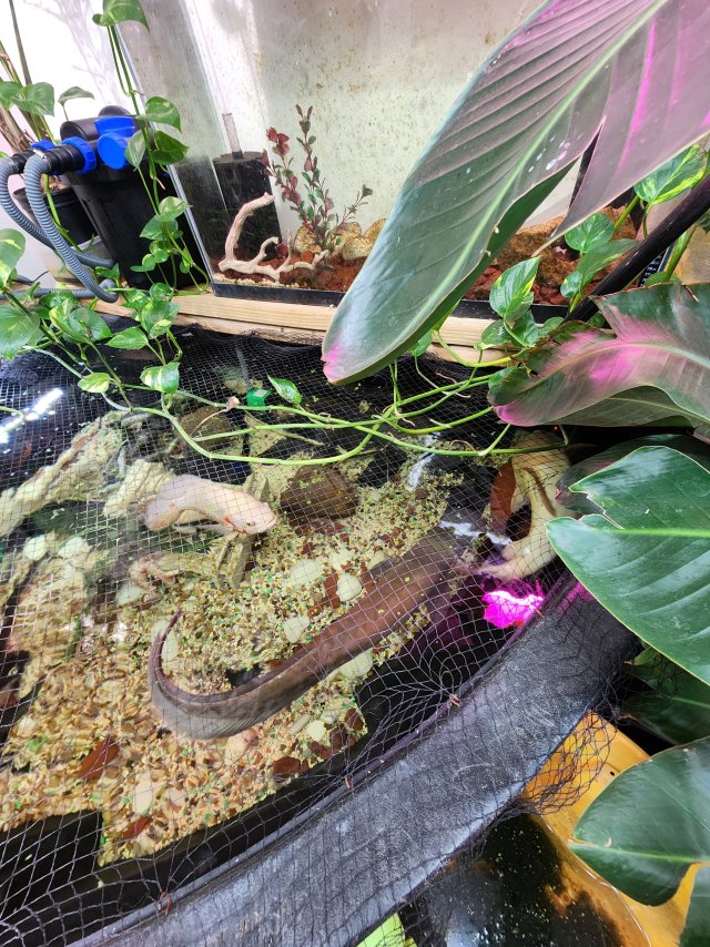 17656603883667655616927996442742.jpg 17656603883667655616927996442742.jpg