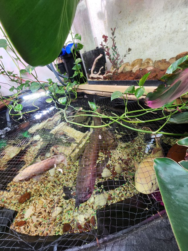 17656606209657647501123823422436.jpg 17656606209657647501123823422436.jpg