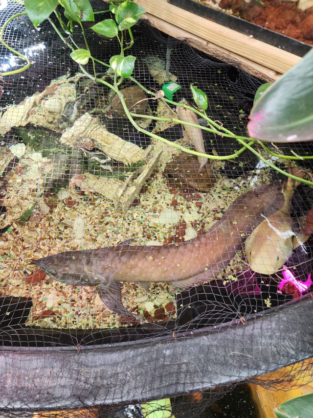 17656606596348635564495083190904.jpg 17656606596348635564495083190904.jpg