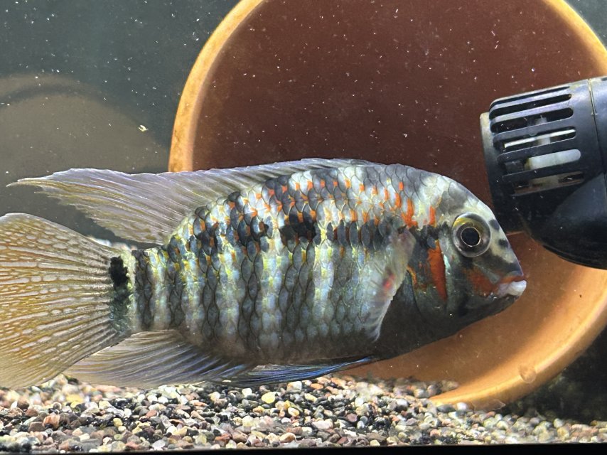 IMG_2059.jpeg IMG_2059.jpeg