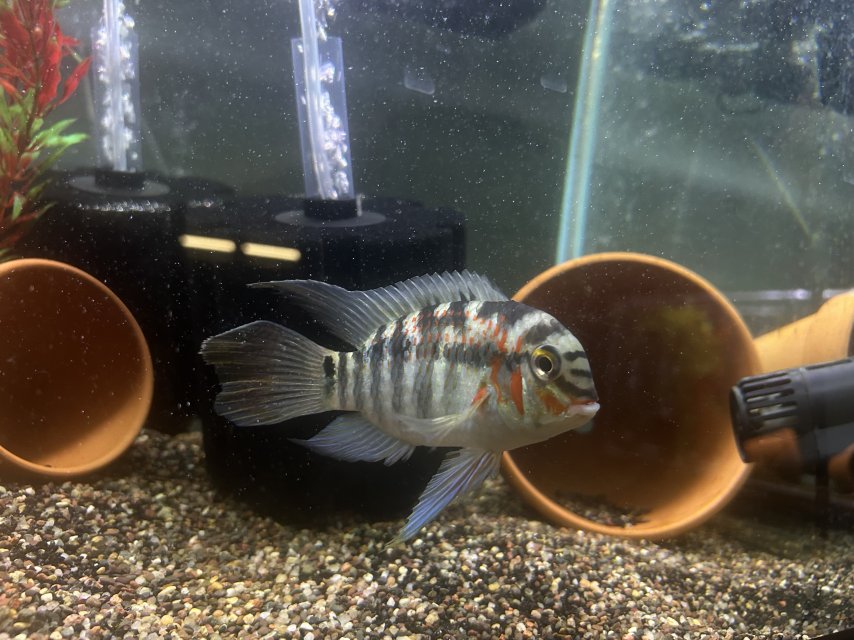 IMG_1808.jpeg IMG_1808.jpeg