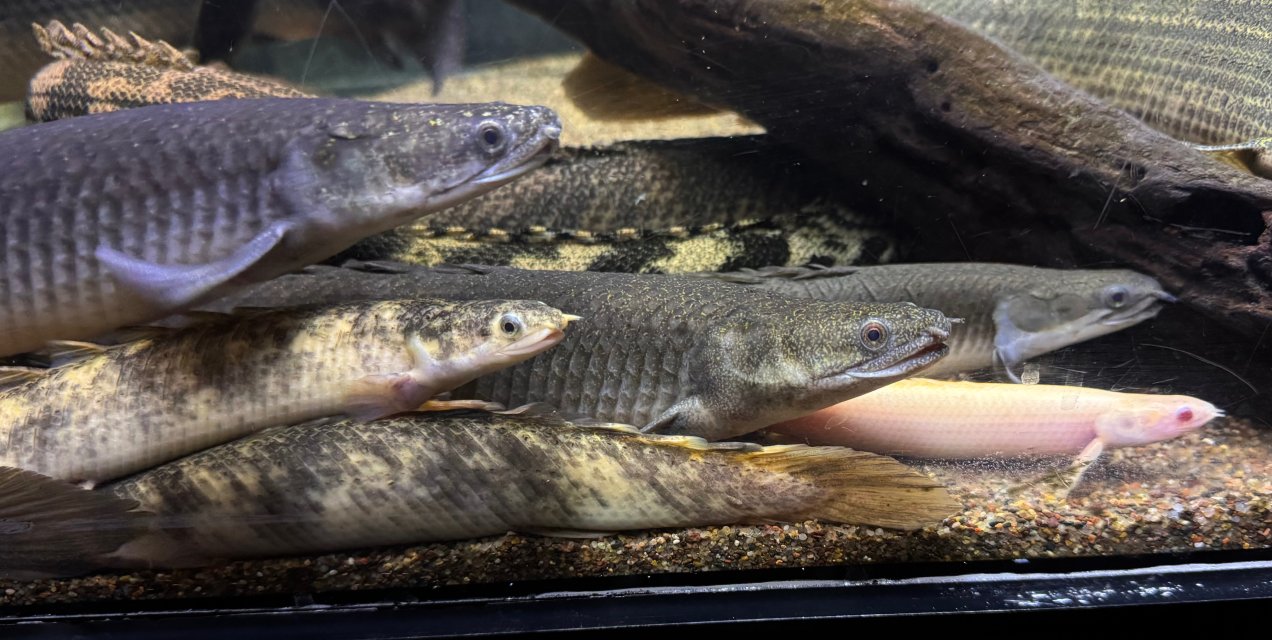 IMG_9752.jpeg IMG_9752.jpeg