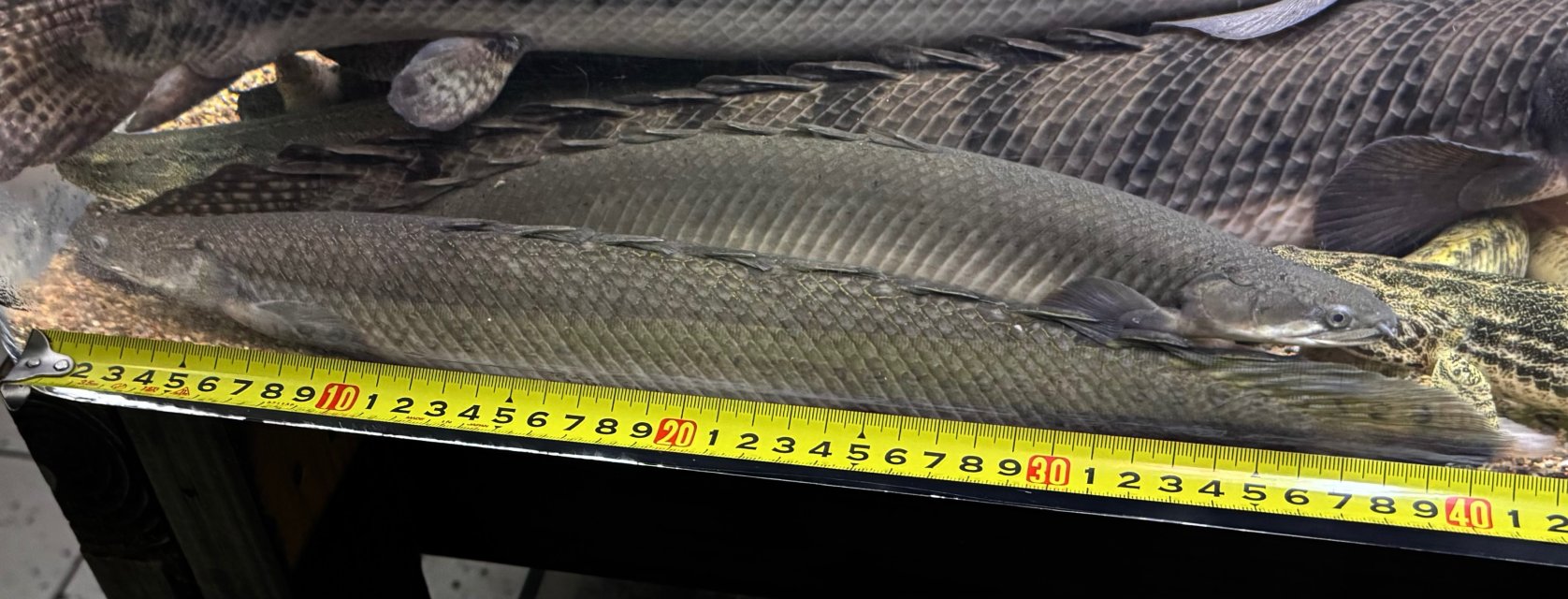 IMG_0057.jpeg IMG_0057.jpeg