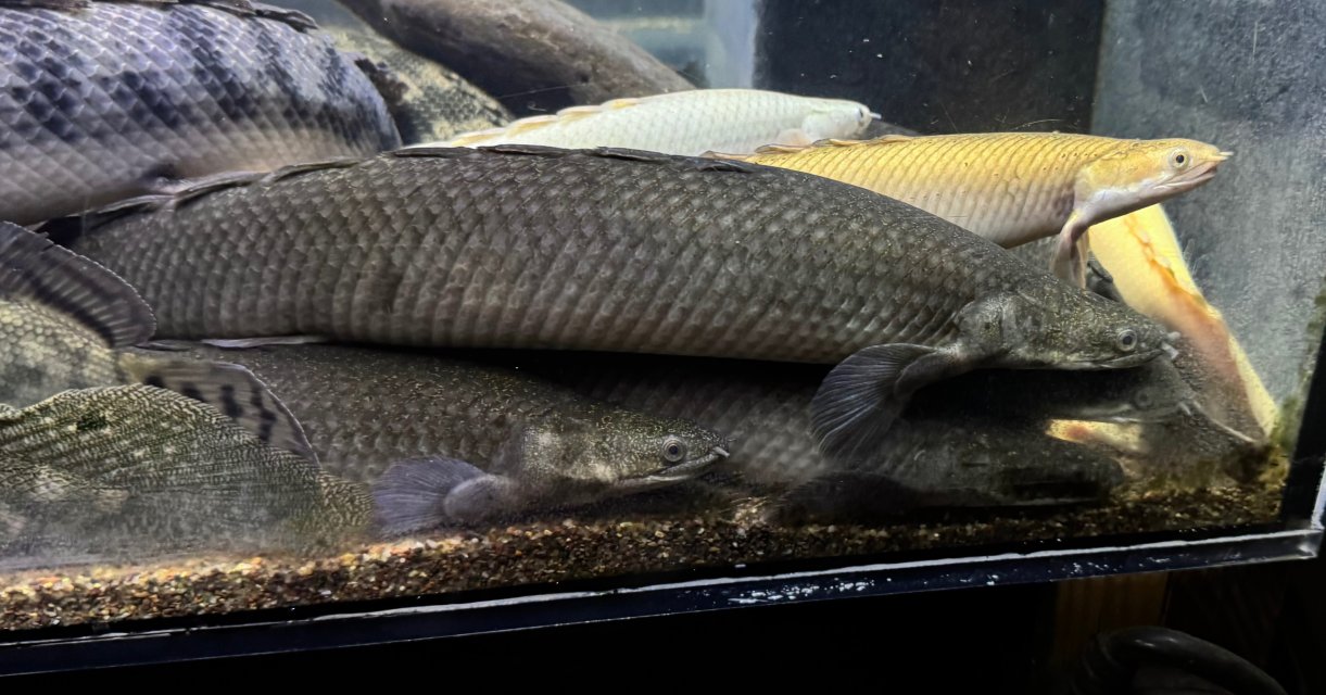 IMG_5893.jpeg IMG_5893.jpeg