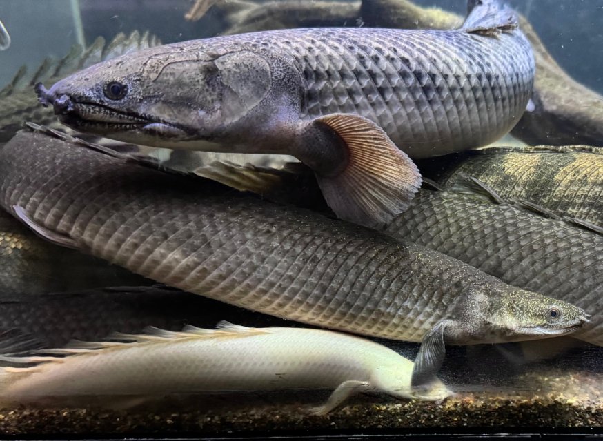 IMG_5909.jpeg IMG_5909.jpeg